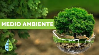 ¿QUÉ ES EL MEDIO AMBIENTE  Definición y resumen [upl. by Yenetruoc41]