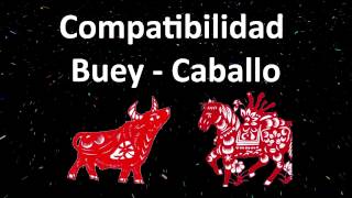 Compatibilidad Buey  Caballo Horóscopo Chino [upl. by Duncan]