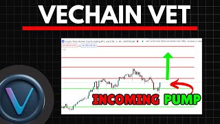 VECHAIN VET NEW HIGHS INCOMING  VET Price Prediction [upl. by Brewer]