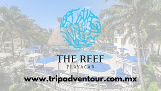 Hotel The Reef Playacar Playa del Carmen  TripAdventour [upl. by Enenej]