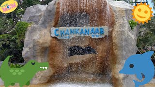 Chankanaab Park Review Cozumel Shore Excursion [upl. by Aneeuqahs]