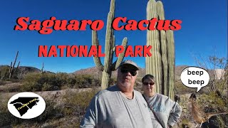 Why Saguaro National Park Can Hurt You [upl. by Assilym]