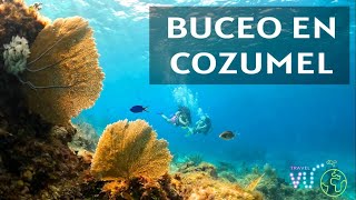 Buceo En Cozumel Mexico [upl. by Htir]