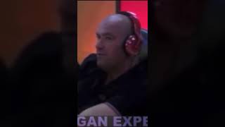 How Dana White Got Jumped  Joe Rogan Podcast [upl. by Kirtap901]