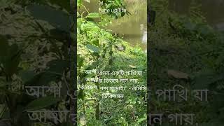 quotআশা এমন একটি পাখি quot  বর্নে গন্ধে ছন্দে গীতিতে  Debolinaa Nandy  Bengali Cover Song [upl. by Karon]