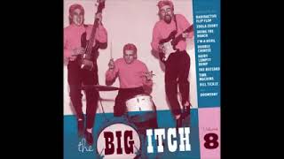 Various – The Big Itch Volume 8 50s 60s Rock amp Roll Novelty Garage Parody Rock Music Compilation [upl. by Corabella30]