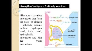 Microbiology of Antibody amp Antigen Interactions [upl. by Uriiah211]