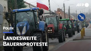 Polnische Bauern blockieren aus Protest 160 Straßen  AFP [upl. by Jacquelynn]