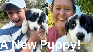 We Got a Puppy [upl. by Noryak]