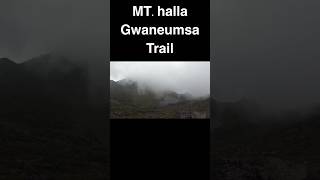 Hallasan Gwaneumsa Trail Course hallasan hallamountain [upl. by Bobbe]