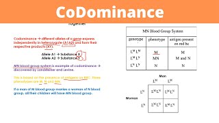 CoDominance  Genetics [upl. by Amberly575]