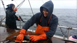 Makah Longline Fishing [upl. by Saltsman]