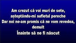 The Motans  Inainte Sa Ne Fi Nascut VersuriLyrics [upl. by Diarmid]