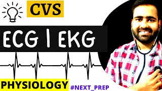 EKG Interpretation  Master Basics of ECG  Electrocardiography  Physiology MBBS 1st yr NEXTPREP [upl. by Ibur429]