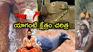 యాగంటి క్షేత్రం చరిత్ర పూజారిగారి మాటల్లో  Yaganti history yaganti basavanna [upl. by Korfonta]