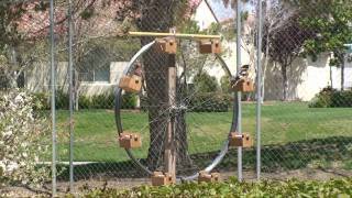 Ferris Wheel Bird Feeder [upl. by Aerdnek]