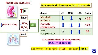 Acidosis and Alkalosis MADE EASY [upl. by Neened]