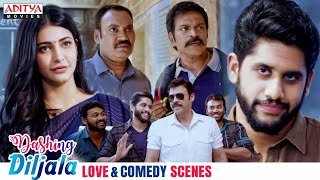 Dashing Diljala Movie Love amp Comedy Scenes  Naga Chaitanya Shruti Haasan Anupama AdityaMovies [upl. by Rubie872]