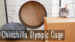 The Chinchilla Olympic Cage Tour [upl. by Block]