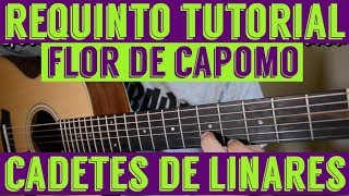 Flor de Capomo  Requinto  Intro Tutorial de Guitarra  Los Cadetes de Linares  TABS [upl. by Acinimod467]