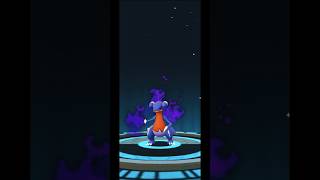 Evolving Shadow Gible into Gabite Tonight Pokemon GO Indonesia Shorts [upl. by Jeanelle425]