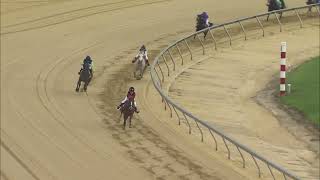 TIMONIUM 08 31 2024 RACE 4 PONY [upl. by Lleroj]