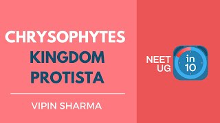 Chrysophytes  Kingdom Protista  NEET Biology  NEET UG in 10 [upl. by Jud]