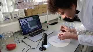 What is Hydrophobic Down and is it any good GO Outdoors Show Special [upl. by Llennej]