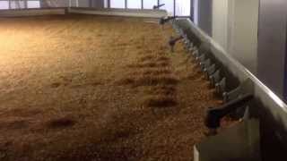 Cimbria Heid Gravity Separator in Wheat [upl. by Anoo]