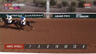 Live Hippodrome « SETTAT »  Courses du « 06122023 » [upl. by Deidre]