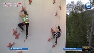 Escalade  Championnats de France de vitesse 2016  Voiron [upl. by Nivlen]