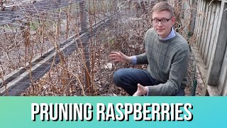 Raspberry Pruning 101 How To When amp Why [upl. by Elleinod]