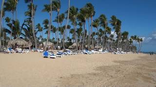 Sirenis Cocotal Beach Resort and Spa HD [upl. by Itnuahsa504]