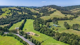 Drive Matakana Valley Road Scenery North Island 🇳🇿 New Zealand [upl. by Nahtaj]