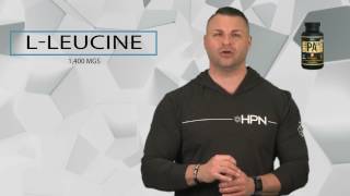 HPN Nutrition PA 7 Phosphatidic Acid Product Overview [upl. by Aniroc]