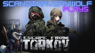 Escape From Tarkov  Let´s Hunt Sanitar V [upl. by Hadria]