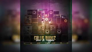 Collie Buddz  Love amp Reggae Official Audio [upl. by Craven]