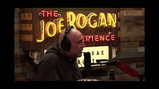 Joe Rogan talking about Nick Mullen [upl. by Atalanta720]