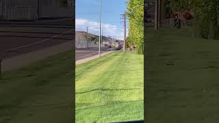 Car Of Fire In West Richland Washington May 29th 2024 [upl. by Anirav]