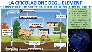 I CICLI GEOCHIMICI [upl. by Giffard957]