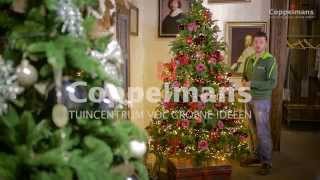 Coppelmans kerstboom decoreren [upl. by Ronaele]