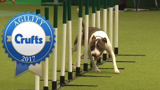 Agility  Crufts Team Medium Final Part 1  Crufts 2017 [upl. by Brosy417]