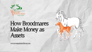 Maximizing Profit with Broodmares A Guide to Breeding and Asset Strategies [upl. by Aztinaj]