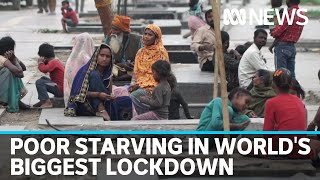 India Worlds biggest COVID19 lockdown leaves poor starving  ABC News [upl. by Robertson319]