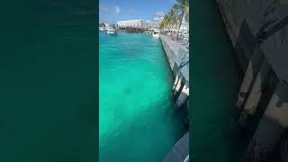 54  Maldives Airport trending maldives ghumo travel beach sea [upl. by Frida]