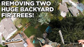 Weekend Warriors Removing Two Large Backyard Fir Trees [upl. by Learsi84]