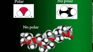 Origen y características de la química orgánica [upl. by Tterraj974]