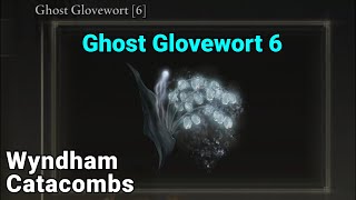 Ghost Glovewort 6 Location  Wyndham Catacombs  Elden Ring [upl. by Nivrad368]