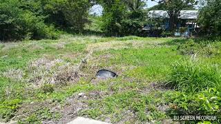 Land For Sale Bobb Manswell Trace Sherwood Park Tobago [upl. by Furr]