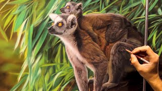 Drawing Lemurs Realistic Ambrojordiart [upl. by Peggie]